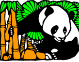 Dibuix Ós Panda i Bambú pintat per hugo