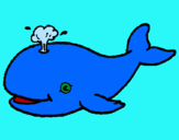 Dibuix Balena expulsant aigua pintat per martina