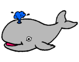 Dibuix Balena expulsant aigua pintat per iren12345678
