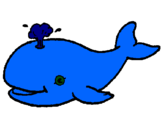 Dibuix Balena expulsant aigua pintat per BERTA