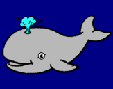 Dibuix Balena expulsant aigua pintat per antonio