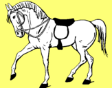 Dibuix Cavall de competició  pintat per OLEGUER SANS ESQUÉ