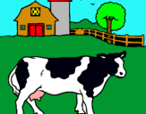 Dibuix Vaca pasturant pintat per agusti