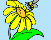 Dibuix Margarida amb abella pintat per maria13