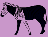 Dibuix Zebra pintat per anna