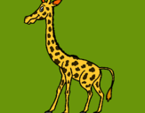 Dibuix Girafa pintat per rivi