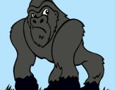 Dibuix Goril·la pintat per alexandra