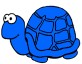 Dibuix Tortuga pintat per tortuga blava