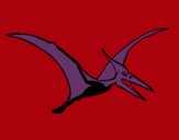 Dibuix Pterodàctil pintat per ainoa curto mola