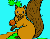 Dibuix Esquirol pintat per bruna