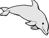 Dibuix Dofí content pintat per NÚRIAC