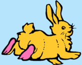 Dibuix Conill content  pintat per marta