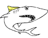 Dibuix Tiburón pintat per martí