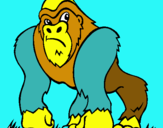 Dibuix Goril·la pintat per firdaos
