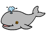 Dibuix Balena expulsant aigua pintat per lena
