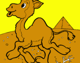 Dibuix Camell pintat per teo