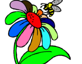 Dibuix Margarida amb abella pintat per aina