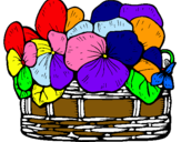 Dibuix Cistell de flors 12 pintat per mar  basora    
