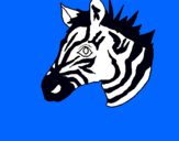 Dibuix Zebra II pintat per jordi paradeda