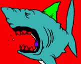 Dibuix Tiburón pintat per tiburon