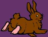 Dibuix Conill content  pintat per carla