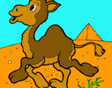 Dibuix Camell pintat per jana