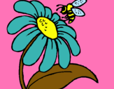 Dibuix Margarida amb abella pintat per ASHA