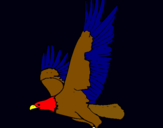 Dibuix Àguila volant  pintat per JORGE E DIDI