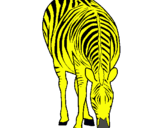Dibuix Zebra pintat per ALEXIA
