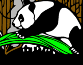 Dibuix Ós panda menjant pintat per anònim