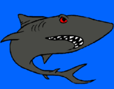 Dibuix Tiburón pintat per CARLES