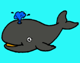Dibuix Balena expulsant aigua pintat per Aleix
