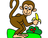 Dibuix Mono pintat per paty muñoz