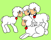 Dibuix Ovelles pintat per ovella