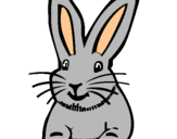 Dibuix Conill pintat per Jan Daude