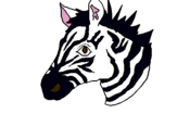 Dibuix Zebra II pintat per niclas de las casas
