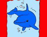 Dibuix Dofí pintat per gerard