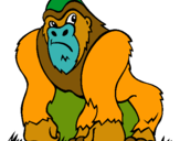 Dibuix Goril·la pintat per giagi