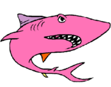 Dibuix Tiburón pintat per AISHA