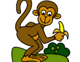 Dibuix Mono pintat per micomarta