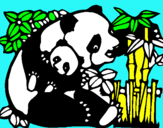 Dibuix Mare Panda pintat per anònim