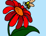 Dibuix Margarida amb abella pintat per marc