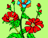 Dibuix Conjunt floral pintat per marc