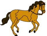 Dibuix Cavall 5 pintat per NEREA