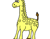Dibuix Girafa pintat per GUILLEM