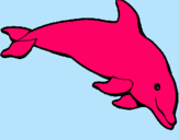 Dibuix Dofí content pintat per dofin rosa