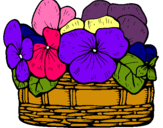 Dibuix Cistell de flors 12 pintat per ram de primavera