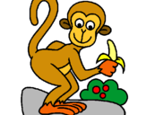 Dibuix Mono pintat per ximpancé