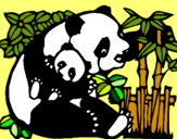 Dibuix Mare Panda pintat per daniela g