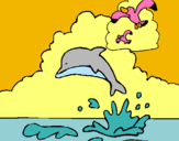 Dibuix Dofí i gavina pintat per xeniacanal